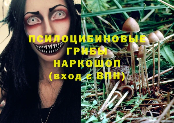 дурь Верхнеуральск